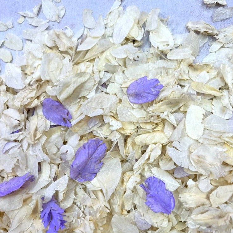 Ivory + Lilac Flutterfall®